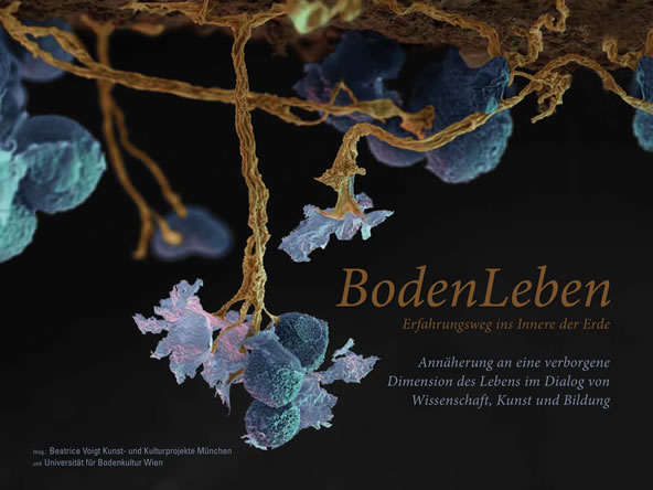 Bodensymposium