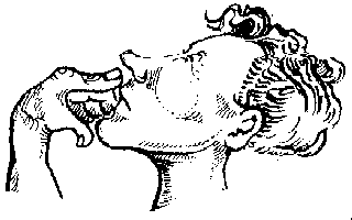 Logo2