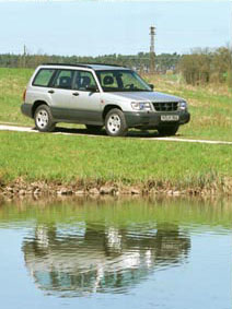 Forester.jpg