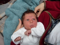 Josefines Zunge