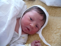 Josefine